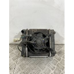 Radiatore Con Elettroventola Kymco People GT 300 Dal 2010 al 2017  1742483624074