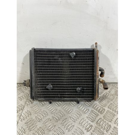 Radiatore Aprilia Sportcity 125 dal 2008 al 2012 COD 8104721  1742487510830
