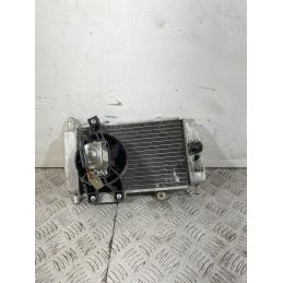 Radiatore Con Elettroventola Gilera Runner 125 2T Dal 1999 Al 2000  1742823851818
