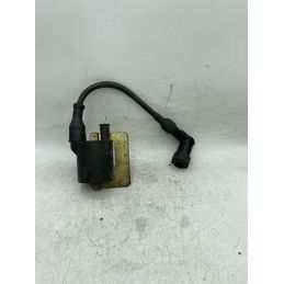 Bobina Accensione Gilera Runner 125 2T Dal 1999 Al 2000  1742829058921