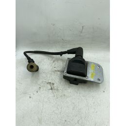 Bobina Accensione Piaggio Beverly 300 dal 2011 al 2018  1742999917424