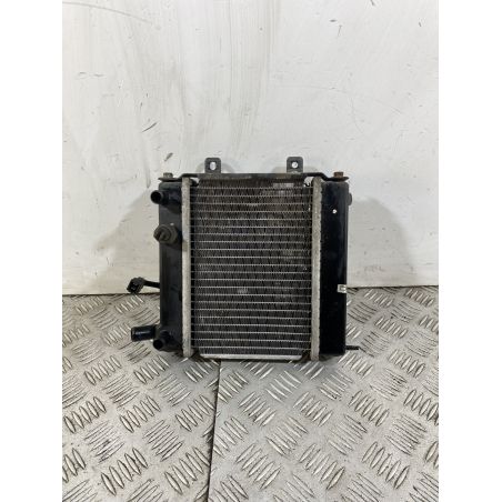 Radiatore Con Elettroventola Kymco Yup 250 Dal 2002 Al 2005  1743158021211