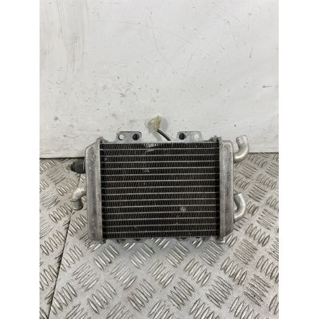 Radiatore Con Elettroventola Peugeot Elyseo 125 dal 1999 al 2002  1743161293827
