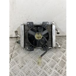 Radiatore Con Elettroventola Peugeot Elyseo 125 dal 1999 al 2002  1743161293827