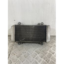 Radiatore Con Elettroventola Kawasaki Ninja 250R Dal 2007 Al 2017  1743778108415