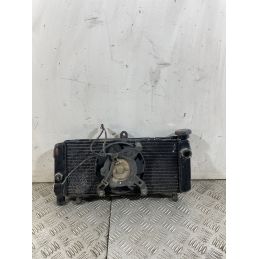 Radiatore Con Elettroventola Honda Hornet 600 Dal 2005 Al 2006  1744032649477