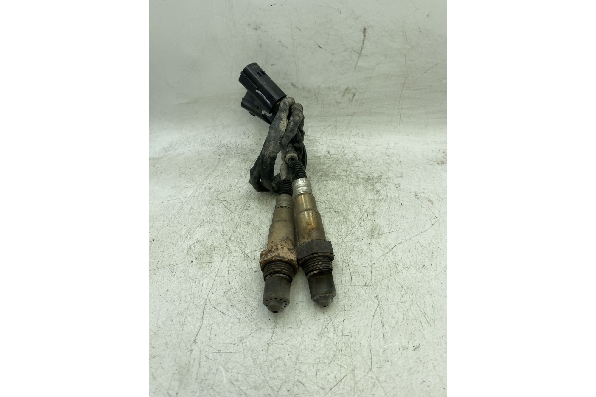Coppia Sonde Lambda Benelli TRK 502 Dal 2017 al 2019  1744298528257