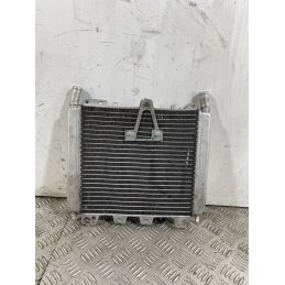 Radiatore Aprilia Scarabeo 500 dal 2007 al 2012  1744709385226