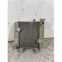 Radiatore Honda S-Wing 150 dal 2007 al 2011  1745328700421