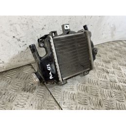 Radiatore Honda PCX 125 dal 2012 al 2014  1745489407139