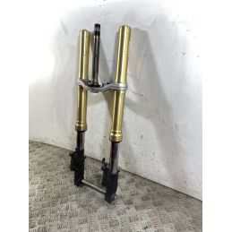 Forcella Honda Hornet 600 Dal 2005 Al 2006  1745932490381