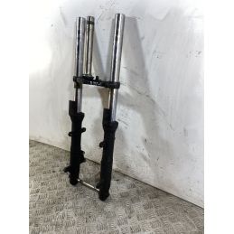 Forcella Kawasaki Ninja 250R Dal 2007 Al 2017  1745998464340