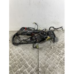 Cablaggio Impianto Elettrico Malaguti Password 250 dal 2008 al 2011  1746544066278