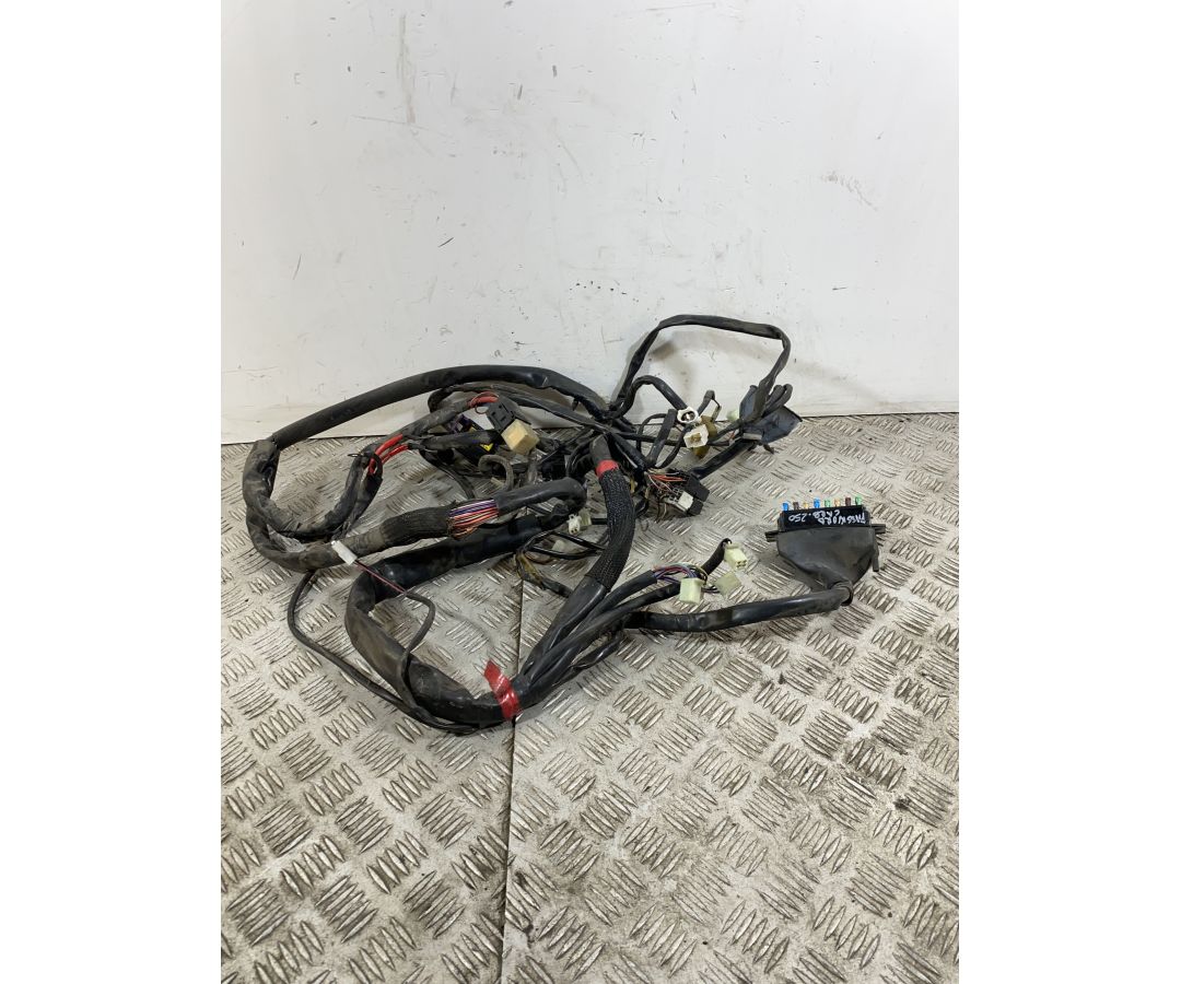 Cablaggio Impianto Elettrico Malaguti Password 250 dal 2008 al 2011 1746544066278 Cablaggio Impianto Elettrico Malaguti Password 250 dal 2008 al 2011 1746544066278