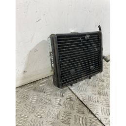Radiatore Piaggio Carnaby Cruiser 300 Dal 2009 Al 2012  1746601477689