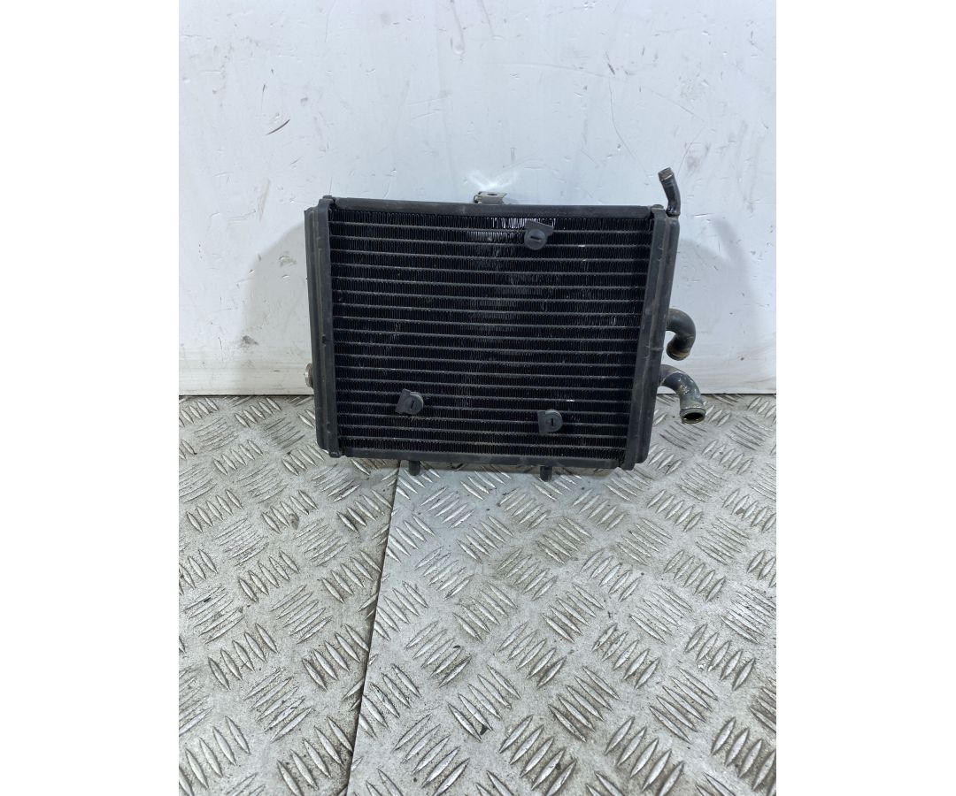 Radiatore Piaggio Carnaby Cruiser 300 Dal 2009 Al 2012 1746601477689 Radiatore Piaggio Carnaby Cruiser 300 Dal 2009 Al 2012 1746601477689
