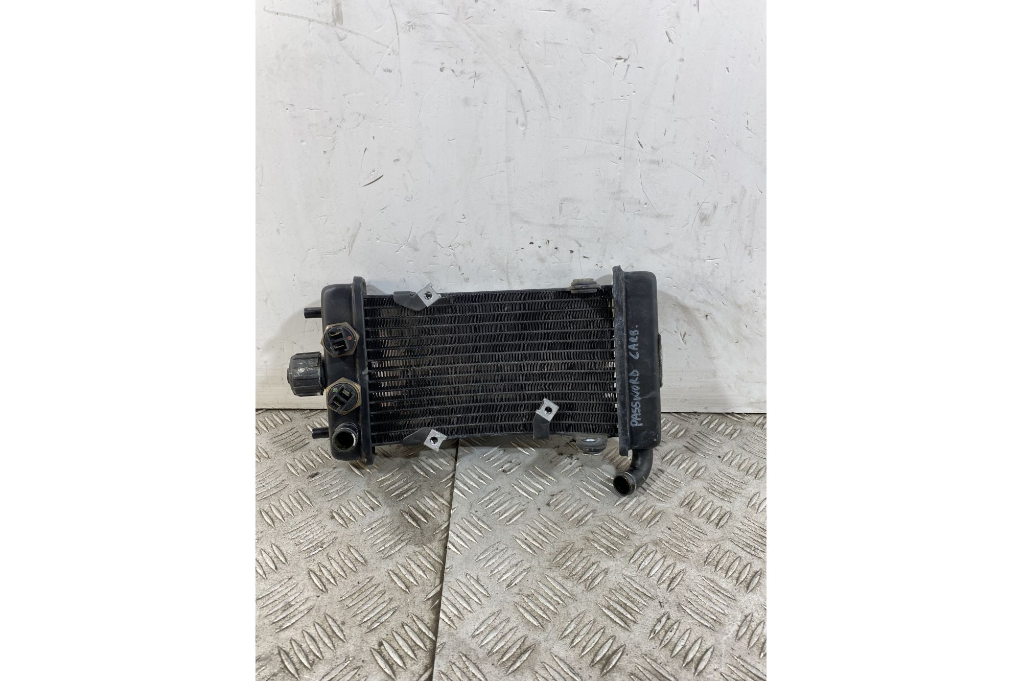 Radiatore Malaguti Password 250 Carburatore dal 2008 al 2011  1746601548785