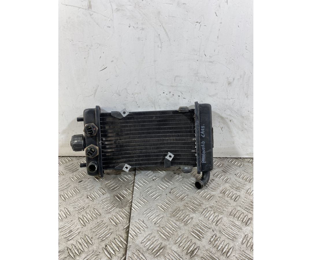 Radiatore Malaguti Password 250 Carburatore dal 2008 al 2011 1746601548785 Radiatore Malaguti Password 250 Carburatore dal 2008 al 2011 1746601548785