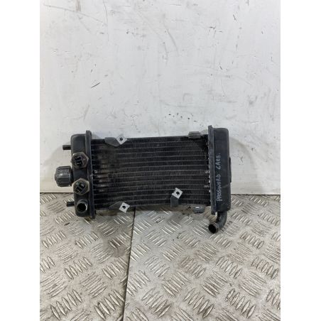 Radiatore Malaguti Password 250 Carburatore dal 2008 al 2011  1746601548785