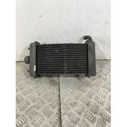 Radiatore Malaguti Password 250 Carburatore dal 2008 al 2011  1746601548785