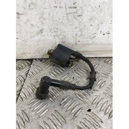 Bobina Accensione Honda PCX 125 / 150 dal 2009 al 2016  1747034817011