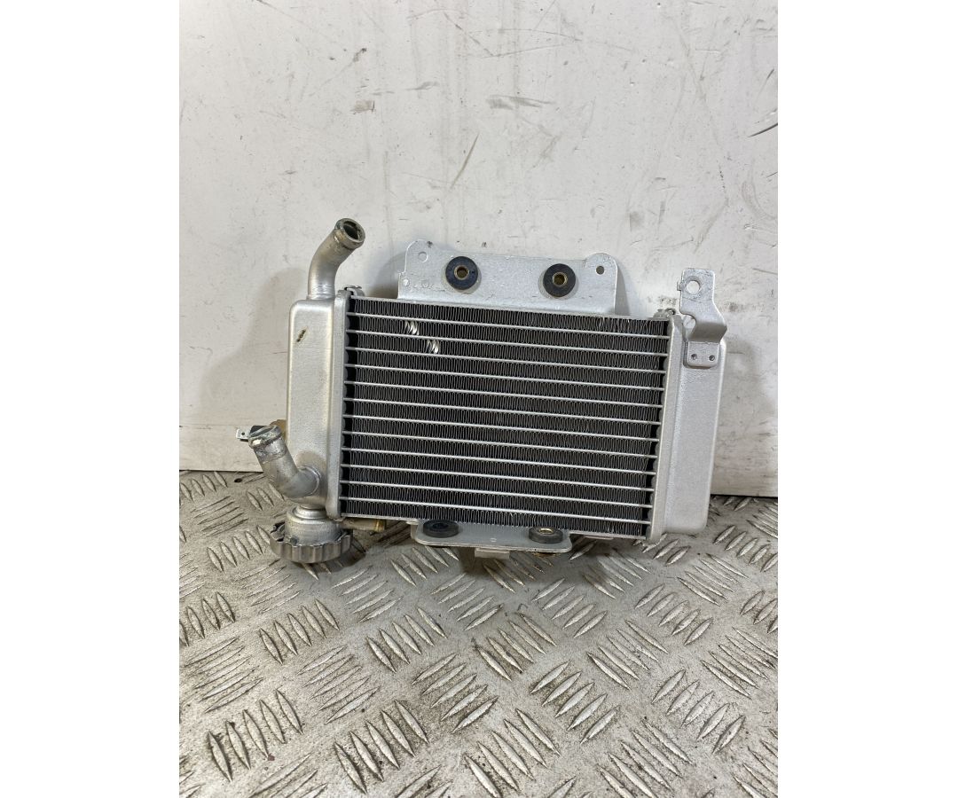 Radiatore Benelli Caffènero 125 dal 2011 al 2016 1747206079025 Radiatore Benelli Caffènero 125 dal 2011 al 2016 1747206079025