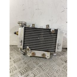 Radiatore Benelli Caffènero 125 dal 2011 al 2016  1747206079025