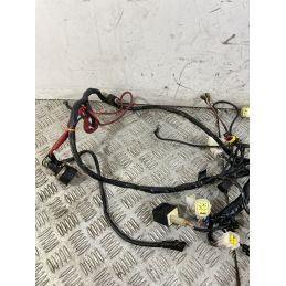 Cablaggio Impianto Elettrico Benelli Caffènero 125 dal 2011 al 2016  1747214519698