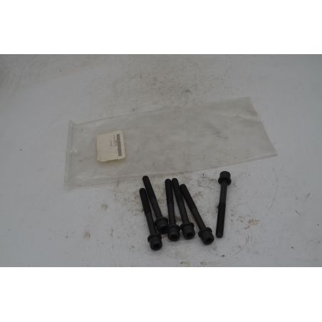 Bulloni testata Chevrolet Captiva Dal 2006 al 2011 Cod 90466480  1747295287264