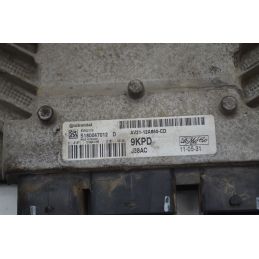 Centralina ECU Ford Fiesta VI  Dal 2008 al 2017 Cod S180047012  1747396950500