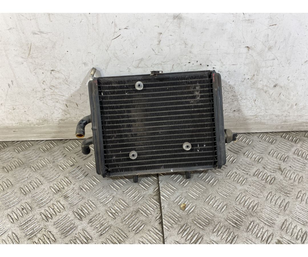 Radiatore Derbi Rambla 150 Dal 2008 al 2014 1747665143909 Radiatore Derbi Rambla 150 Dal 2008 al 2014 1747665143909
