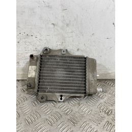 Radiatore Honda Chiocciola @ 150 dal 2000 al 2006  1747667776730