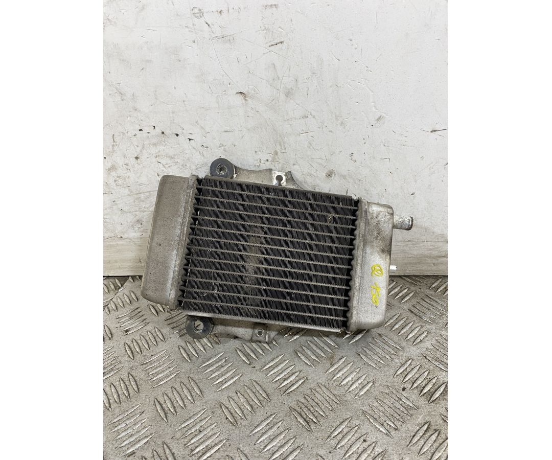 Radiatore Honda Chiocciola @ 150 dal 2000 al 2006 1747667776730 Radiatore Honda Chiocciola @ 150 dal 2000 al 2006 1747667776730
