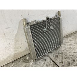 Radiatore Piaggio Beverly 500 Dal 2002 al 2006  1747724664741