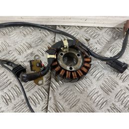 Statore Piaggio Beverly Tourer 300 dal 2009 al 2011  1747732729388