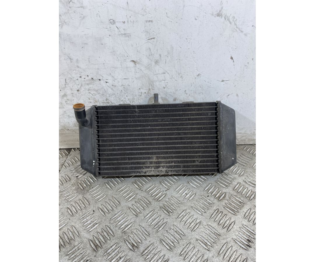 Radiatore Yamaha Majesty 400 dal 2004 al 2008 1747736209404 Radiatore Yamaha Majesty 400 dal 2004 al 2008 1747736209404