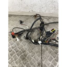 Cablaggio Impianto Elettrico Silence S01 Plus Dal 2021 Al 2025  1747824031757