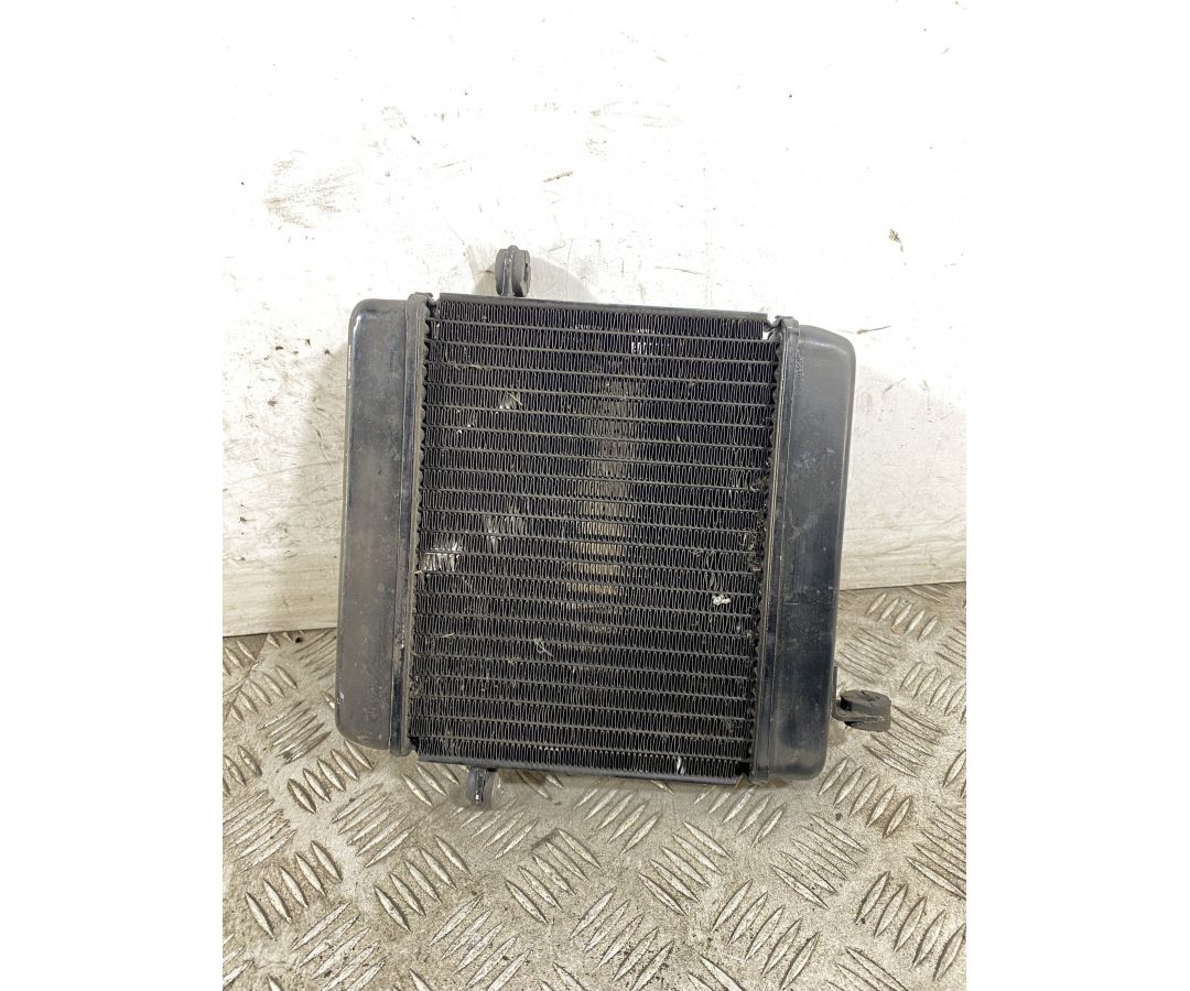 Radiatore Honda Foresight 250 dal 1998 al 2004 1747926443687 Radiatore Honda Foresight 250 dal 1998 al 2004 1747926443687