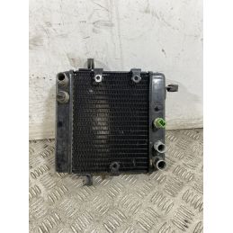 Radiatore Honda Foresight 250 dal 1998 al 2004  1747926443687