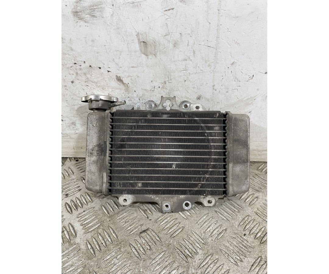 Radiatore Honda PS 150ie dal 2006 al 2012 1748008410733 Radiatore Honda PS 150ie dal 2006 al 2012 1748008410733