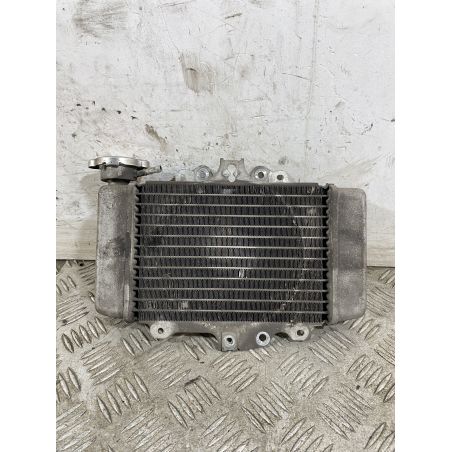 Radiatore Honda PS 150ie dal 2006 al 2012  1748008410733