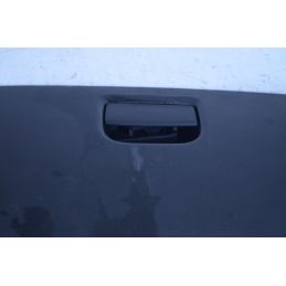 Vano Portaoggetti Fiat Grande Punto Dal 2005 al 2018 Cod 735386347  1748243794193
