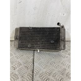 Radiatore Yamaha X-City Xcity 250 dal 2006 al 2016  1748339892024