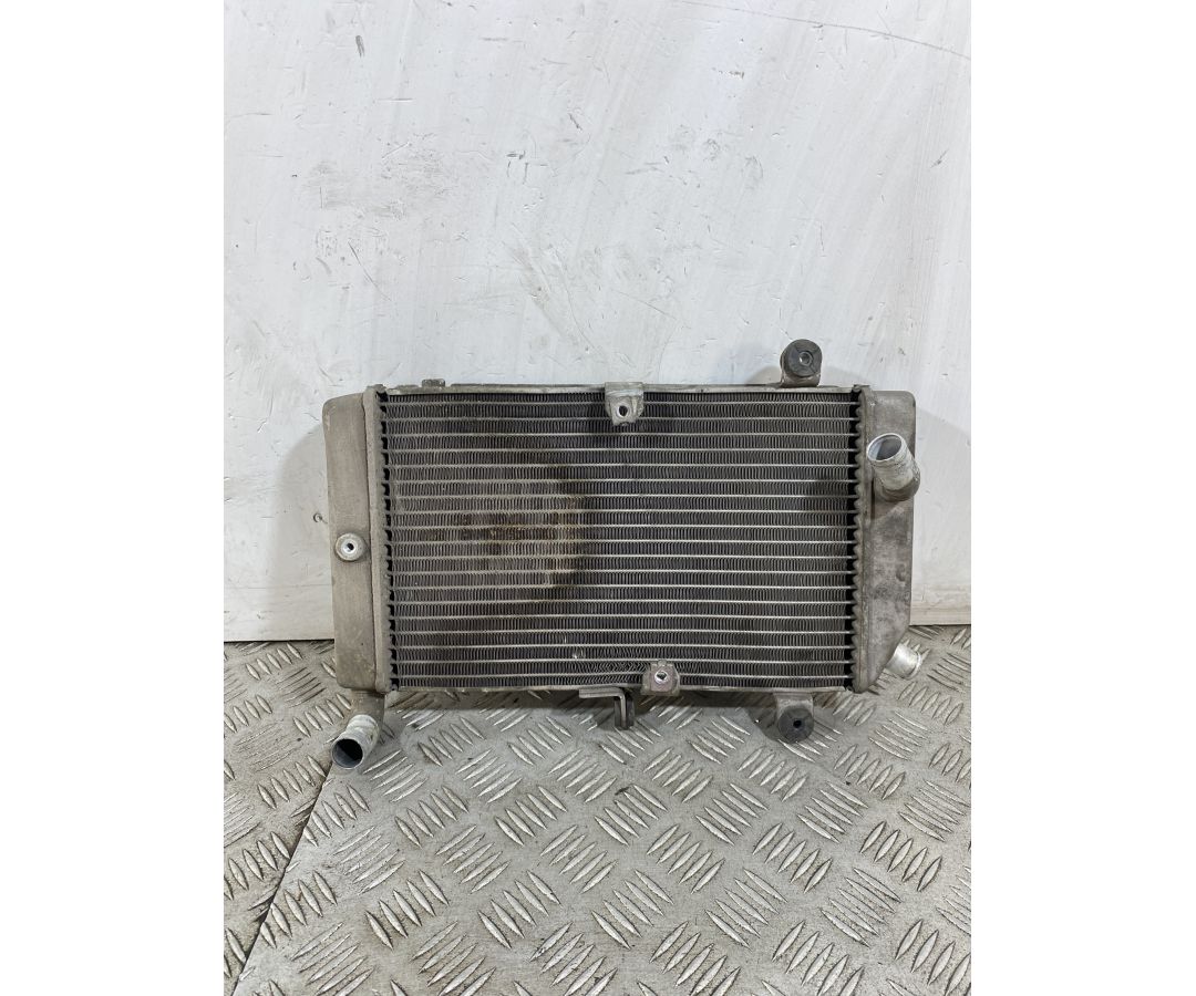 Radiatore Honda Silver Wing 400 Dal 2001 al 2009 1748442135636 Radiatore Honda Silver Wing 400 Dal 2001 al 2009 1748442135636