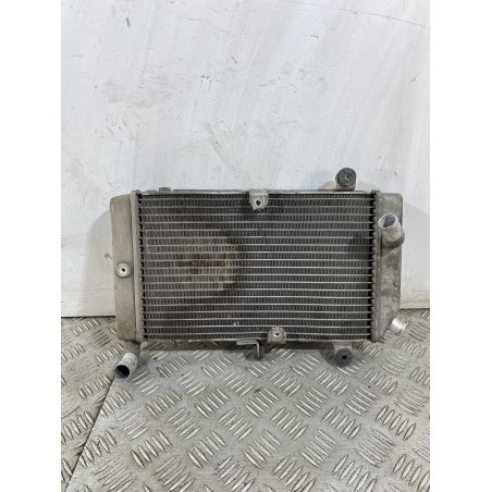 Radiatore Honda Silver Wing 400 Dal 2001 al 2009  1748442135636