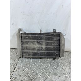 Radiatore Honda Silver Wing 400 Dal 2001 al 2009  1748442135636