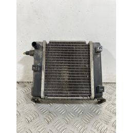 Radiatore Kymco Downtown 300 dal 2008 al 2017  1748941723471