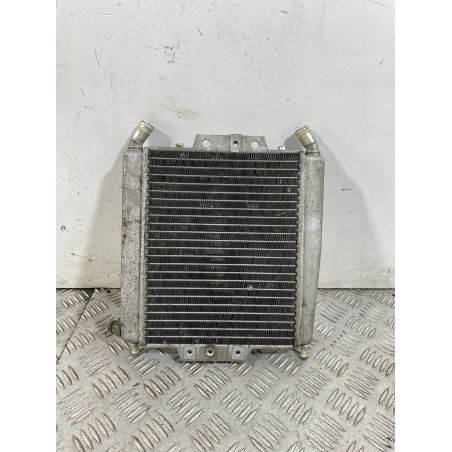 Radiatore Piaggio X8 250 Dal 2004 al 2006  1749022351613