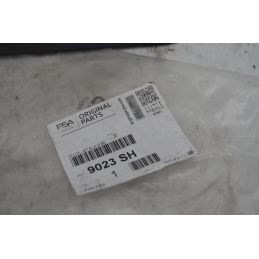Modanatura gocciolamento lato passeggero Citroen C4 Dal 2004 al 2010 Cod 9023SH  1749031802472