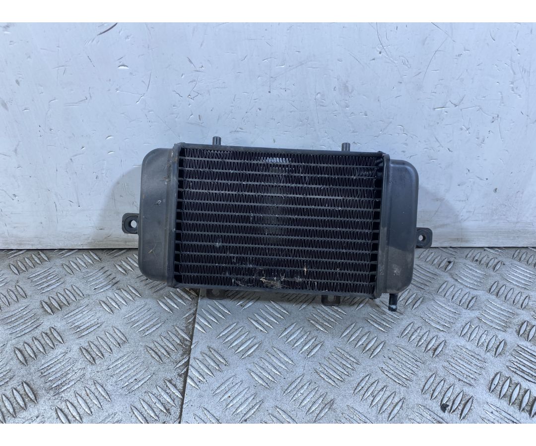 Radiatore BMW C1 200 dal 2001 al 2002 1749205179355 Radiatore BMW C1 200 dal 2001 al 2002 1749205179355